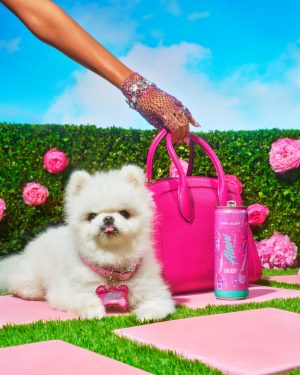 Energy Drink – Pink Slush