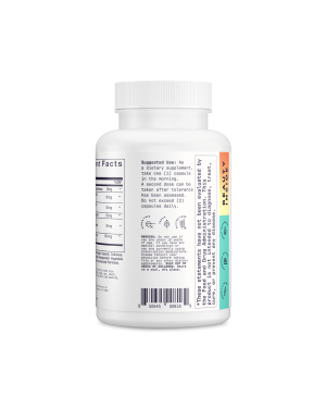 Fat Burner
